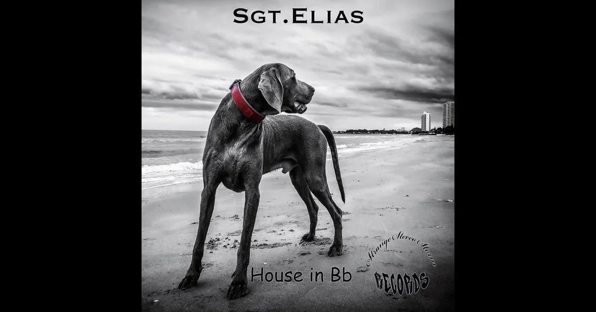 Sgt.Elias - House in Bb - Cover